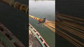 Amazing village flood water boat cast koch fishing |Boat fishing video(part_186)#shorts #viral #fish