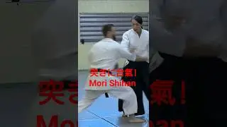 Mori Shihan 8thDan『中段突きに合氣を掛ける!』森道治師範八段 [The Power of Aiki ] Goshu-Ryu Aiki Jujutsu 豪州流合氣柔術