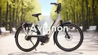 Gazelle Avignon | Bequemes E-Bike | Royal Dutch Gazelle