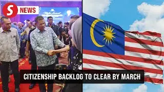 Citizenship backlog to be resolved by end of Q1, says Saifuddin