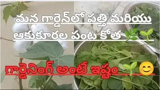 గార్డెన్ టూర్ 🌿| Simple Home Garden Tour | Terrace Garden Ideas in Telugu | small garden ideas