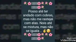 Frases e versos