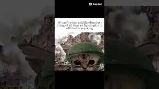 just joking #cat #memes #relatable