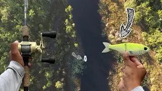 THROWING THE METRO GLIDE FOR BACK WATER SNOOK!