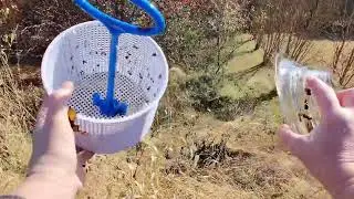 Check Your Skimmer Daily | Simple Pool Maintenance