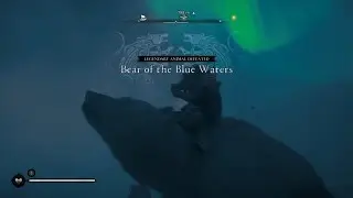 Bear of the Blue Waters AC Valhalla