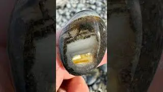 Stunning waterline agate 🤩 #agates #agate #agatehunting #rockhounding #rockhound