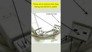 Why USB Cable Have Two Mini Holes? | Amazing Facts #shorts #youtubeshorts