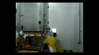 Domates Dilimleme Makinesi - &Ouml;zistikbal Makina