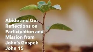 Michael J Gorman, Abide and Go: Reflections on Mission from John's Gospel, Reflection 1, John 15