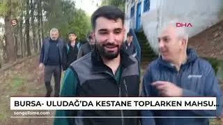Bursa- Uludağ'da kestane toplarken mahsur kalan 3'&uuml; &ccedil;ocuk 4 kişi kurtarıldı