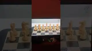 1972 Fischer Spassky Chess Set Review