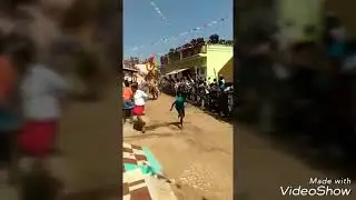 omg bull jallikattu #omg #omg bulls #omg bulls jallikattu