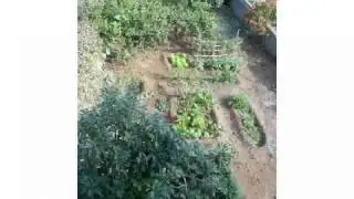 Venta Casa en San Cristobal de La Laguna, Los baldios 220000 eur