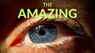 THE AMAZING EYE
