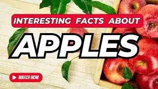 Interesting Facts About Apple