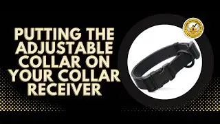 How to Change a Collar Strap to the Adjustable Biothane Collar with Quick Snap