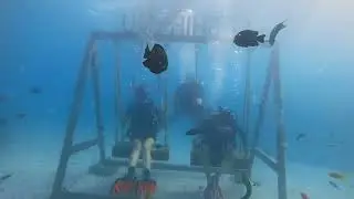 Bucket list scuba diving with my daughters