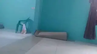 Makasih ya guys yang udah tonton video ku sampai 9'5rb 
