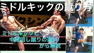 ［ミドルキック］が蹴れない人にコツを教えます