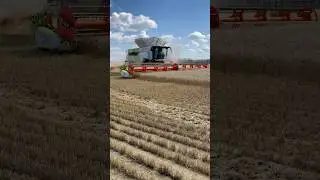 Our first combine demo in the books for the 2025 Harvest! #claas #lexion #2025harvest #combine