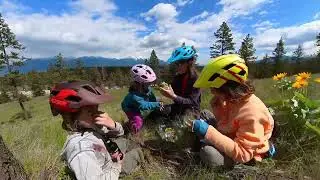 That Mountain Life Cranbrook Family Bike