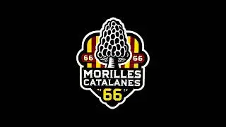 🎶 Titre   Els bolets Catalans 🎶 1 #music #remix