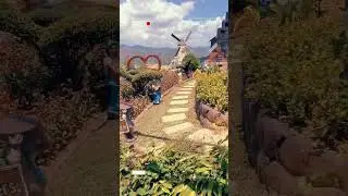 Come and visit SIRAO LITTLE GARDEN AMSTERDAM here in CEBU City , Philippines 🇵🇭  😊