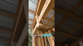 Anatomy of a loose tenon