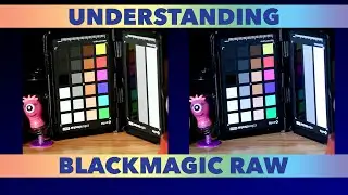 Understanding Blackmagic RAW Workshop