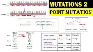 Mutations - 2 | Point Mutations | Substitution Mutations | Frame Shift Mutation |Dr Ghanshyam Jangid