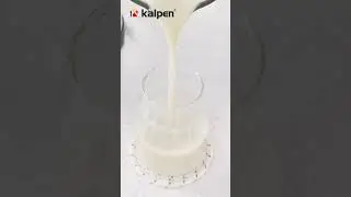 Kalpen CBK-2601 1.7L Nut Milk Maker