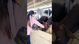 In the act of feeding,two spirits meet&hellip;. #youtubeshorts #youtubevideos #viral #humanity