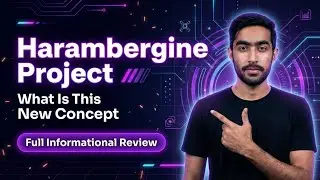 HARAMBERGINE PROJECT OVERVIEW | WHAT THE WEBSITE SHOWS & HOW IT WORKS !
