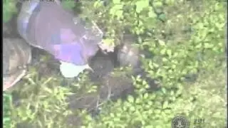Operation Ghost Stories: Video 4