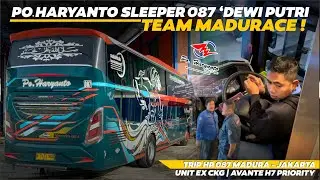 HR 087 SLEEPER 'DEWI PUTRI' IN ACTION‼️🔥FEAT HR 153 Al Kunt & HR 159 Beneficia🔥