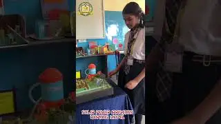 Solar power irrigation working model....... #scienceproject #school #science #project #projectwork