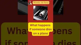 What happens if someone dies on a plane #weirdfact #shorts