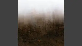 Twin Peaks Theme
