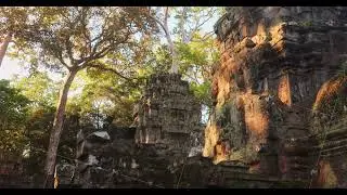 Ancient Ta Prohm Temple Walls Lit By Golden Hour Sunlight In Cambodia