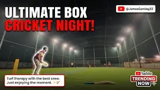 Winter Night Box Cricket | Turf Therapy with Friends 🏏❄️