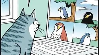 WHY DO THE BIRDS FLY AWAY? 😼