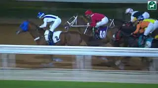 RIYADH RACING SEASON MEETING NO 66 RACE NO 9