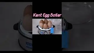 Kent Egg Boiler | Amazon Home Gadgets #youtube #youtubeshorts