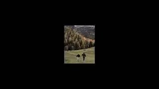 all my love - noah kahan (slowed)
