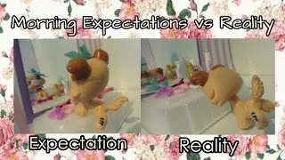 LPS: Morning Expectations vs Reality
