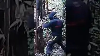 how to break wood by hands 💀🗿☠️. #minecraftplayer #mining