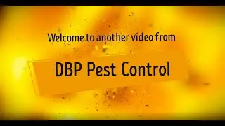 DBP Pest Control - Spring rabbit control with the CZ .22LR and Pard DS35-70 LRF