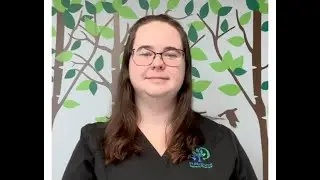 2 Year Old Typical Development- Speech, Language, Play, and Feeding- shared by a Speech Therapist