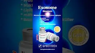 ExoMER Eksozomlar h&uuml;cre değildir.